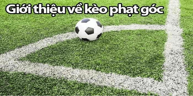 Giới thiệu về kèo phạt góc cho người mới chơi
