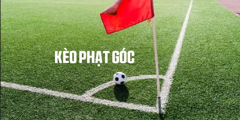 Điều kiện thời tiết xấu có thể làm giảm tốc độ trận đấu