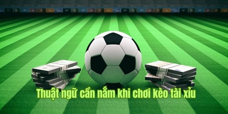 Kèo tài xỉu là hình thức cá cược dựa trên tổng số điểm của một trận đấu