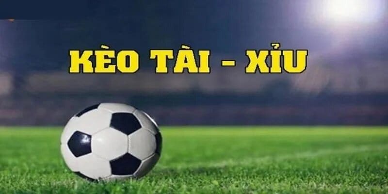Đừng đặt cược quá lớn một lần để tránh rủi ro mất nhiều tiền