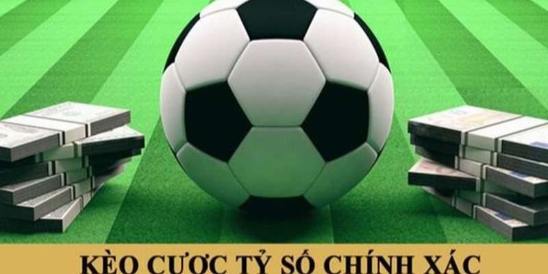 Hãy theo dõi để chọn thời điểm đặt cược hợp lý nhất